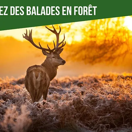 Lesaumurtranquille - Le Poitrineau