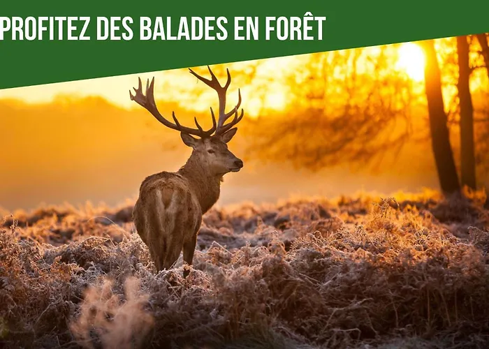 Lesaumurtranquille - Le Poitrineau