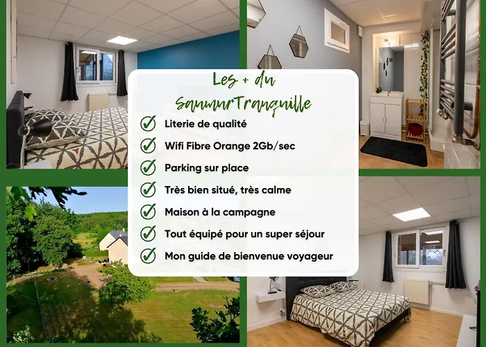 Апартаменты Lesaumurtranquille - Le Poitrineau